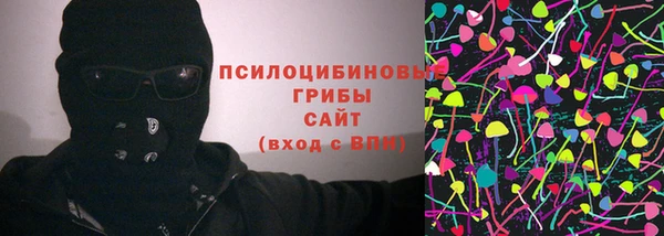 соль ск Нея