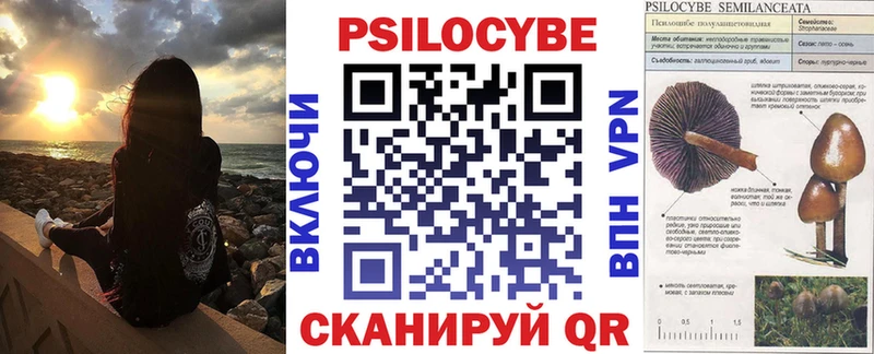 hydra зеркало  darknet наркотические препараты  Псилоцибиновые грибы Psilocybine cubensis  Ялта 